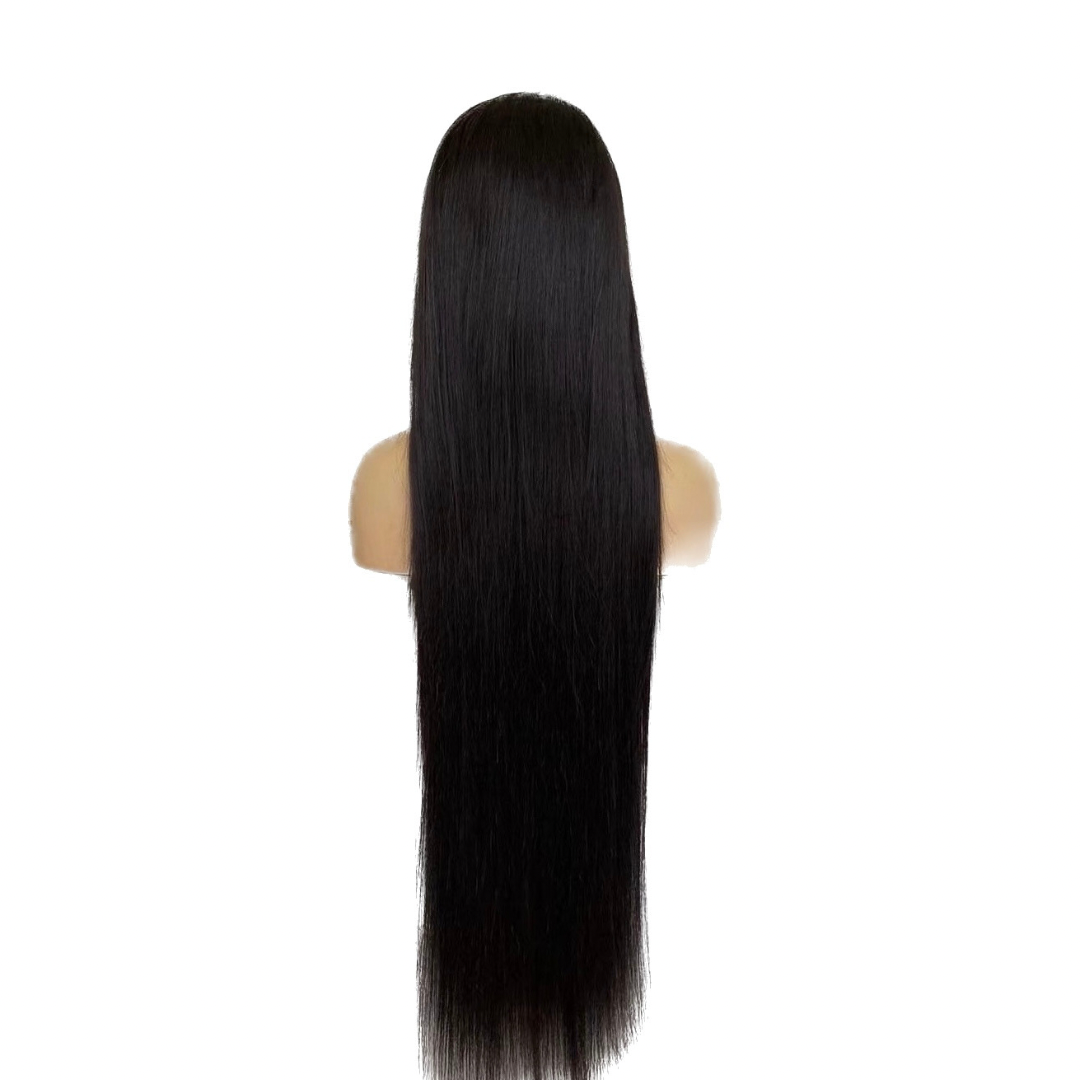 HD Lace Closure Wig (5x5)