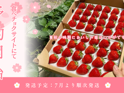 2024年度 サマールージュ予約開始です!