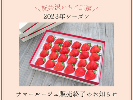 【2023年シーズン】サマールージュ販売終了のお知らせ