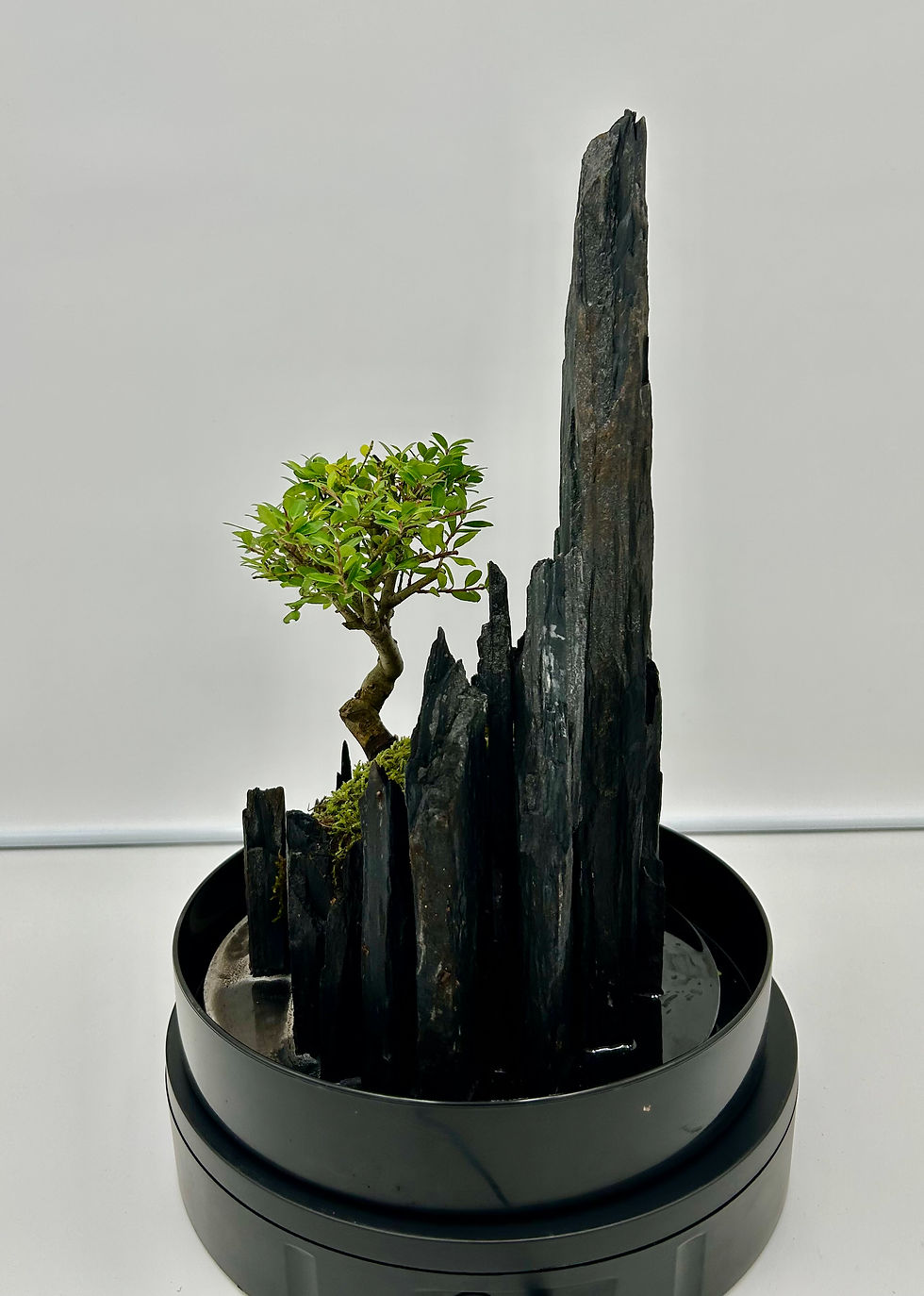 Miniature : Petit paysage numéro 17