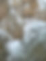 IMG_7878.JPEG