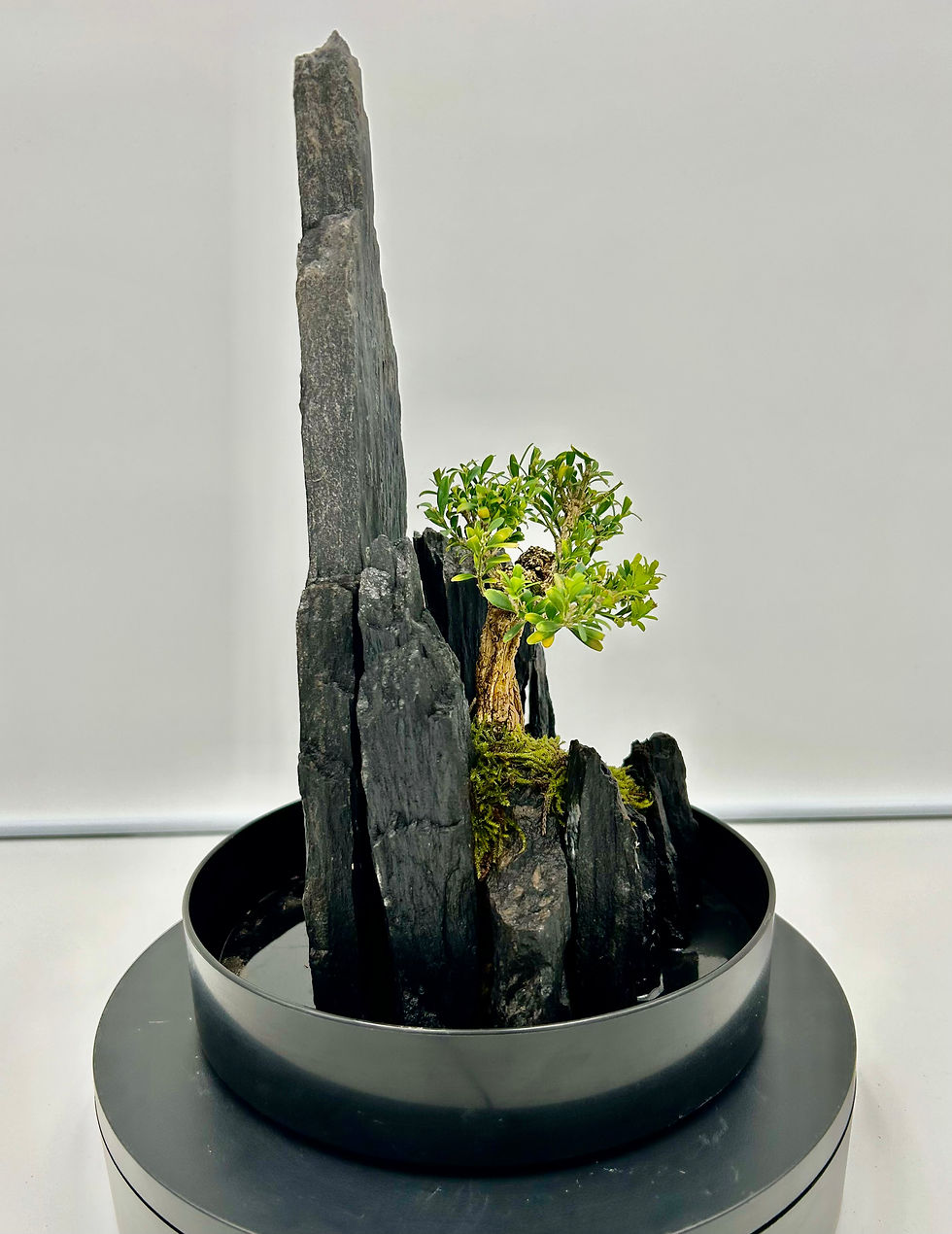 Miniature : Petit paysage numéro 14