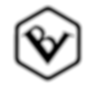 Logo BV