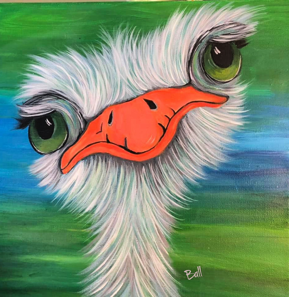 Ollie the Ostrach