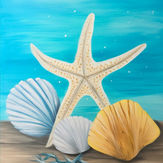 Sea Shells
