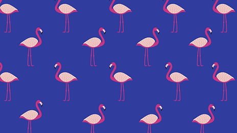 Untitled design (1).png