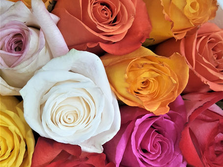 Deuteronomy 3 - Whose is it to Give?