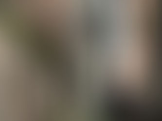 Psalm 12 - Pure Words