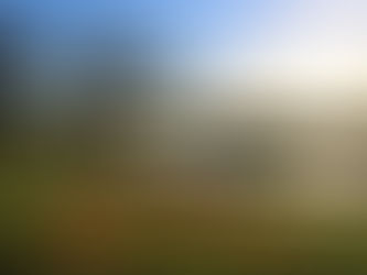 Ezra 10 - What Laws?