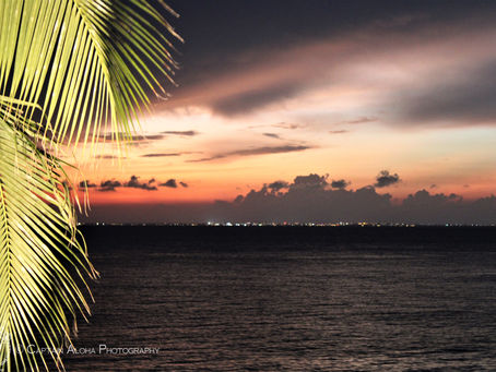 A Journey with Señor Spanish ~ Language School Memoirs