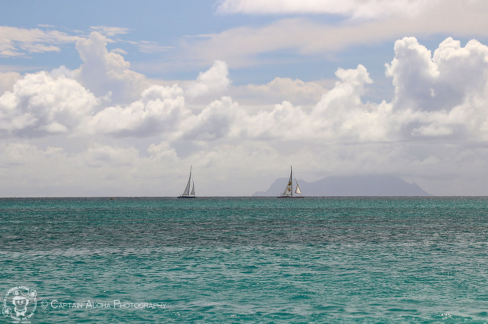 Secret Things ~ Deuteronomy 29