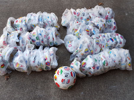 Soccer Balls