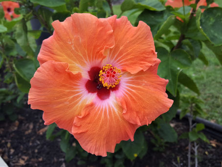 2 Samuel 18 - Erecting Your Monument