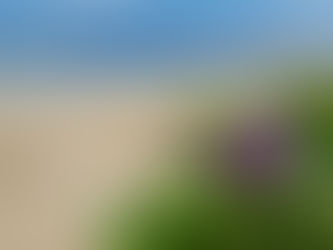 1 Timothy 3 - Elders and Deacons