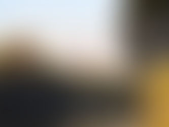 Salmo 111 ~ Psalm 111