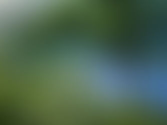 Deuteronomy 4 - What is a Great Nation?