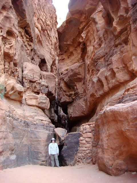 Sara Stubbins - Jan. 2013