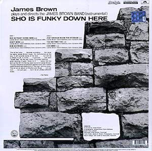 Just Enough Room For Storage by James Brown