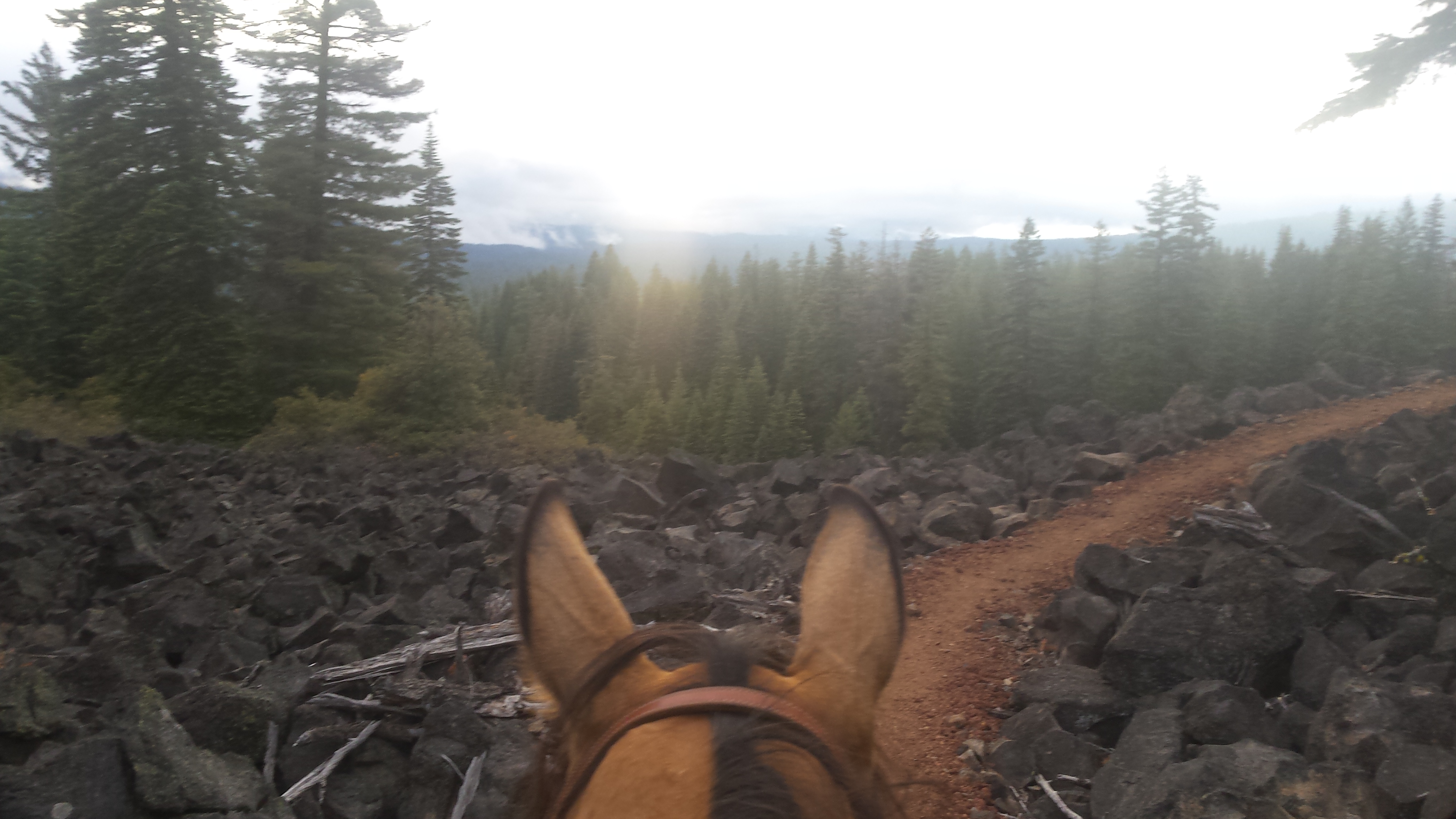 Lava field near Hyatt Lake