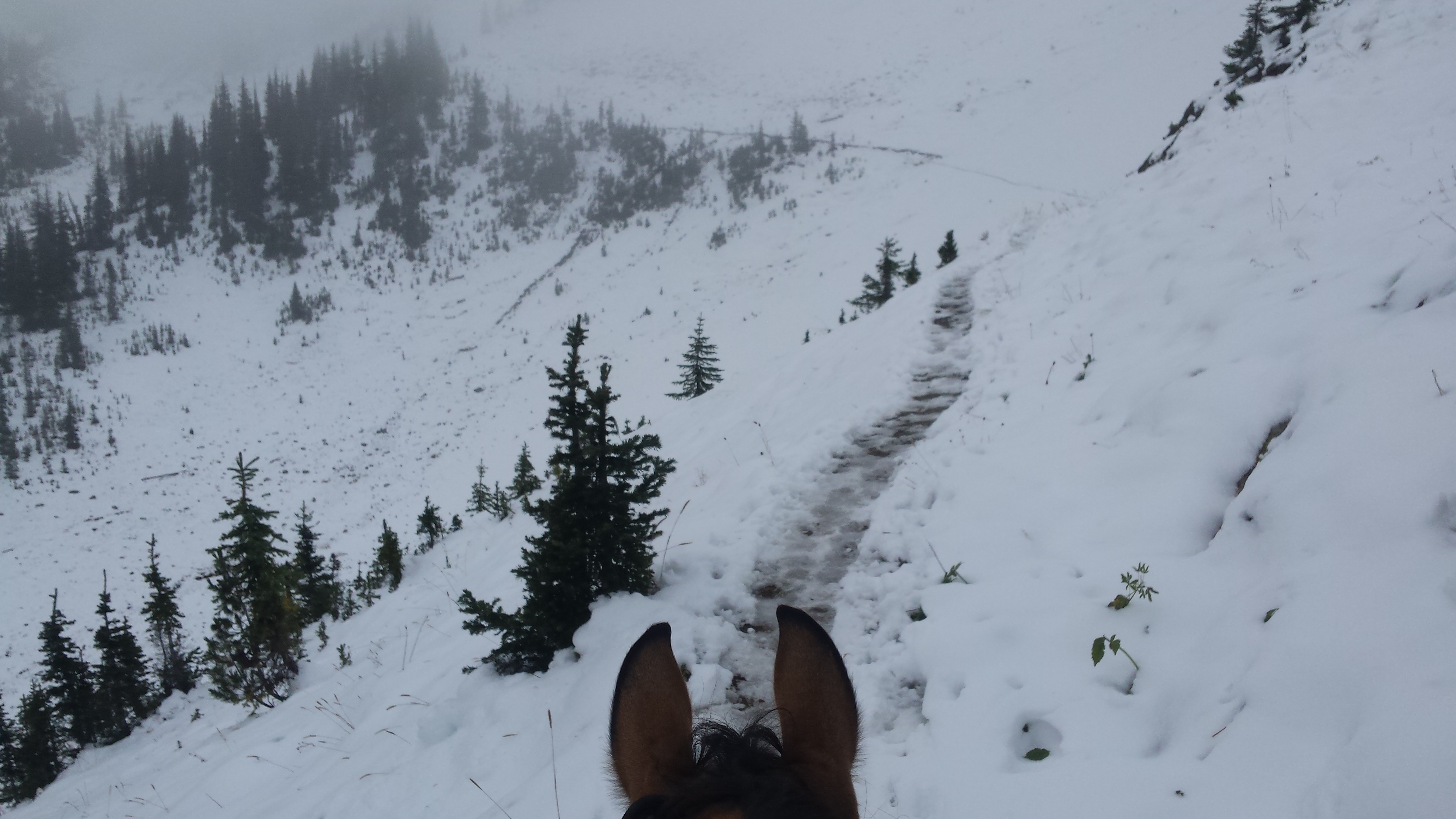 Snow covering the trail