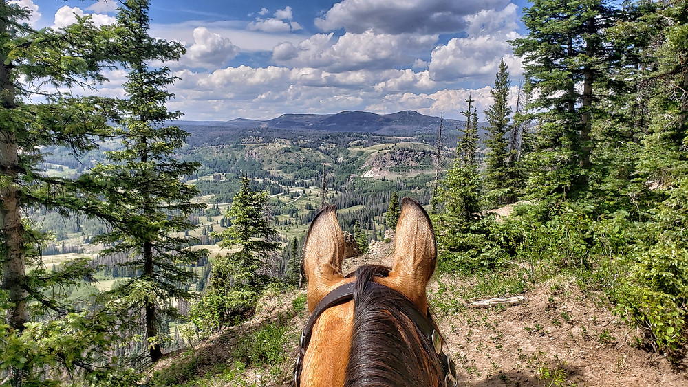 Shyla looking north towards Cumbres Pass