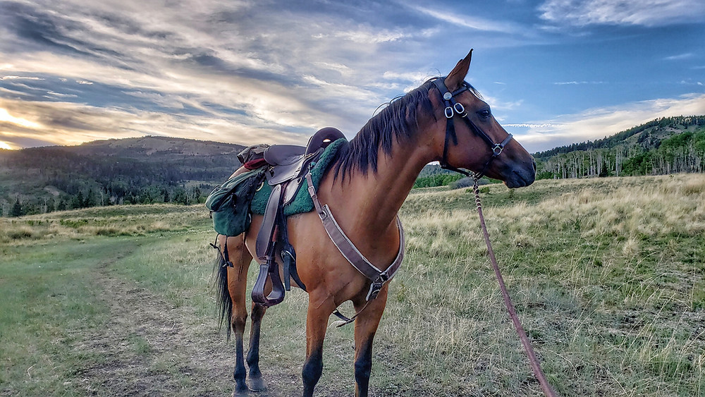 Takoda at sunset outside Canjillon