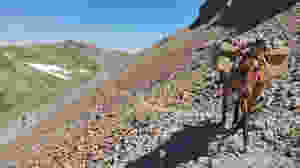 Takoda keeps his balance on a steep slope