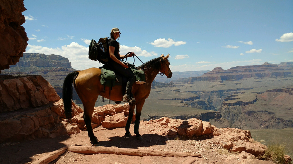 overlooking the Grand Canyon