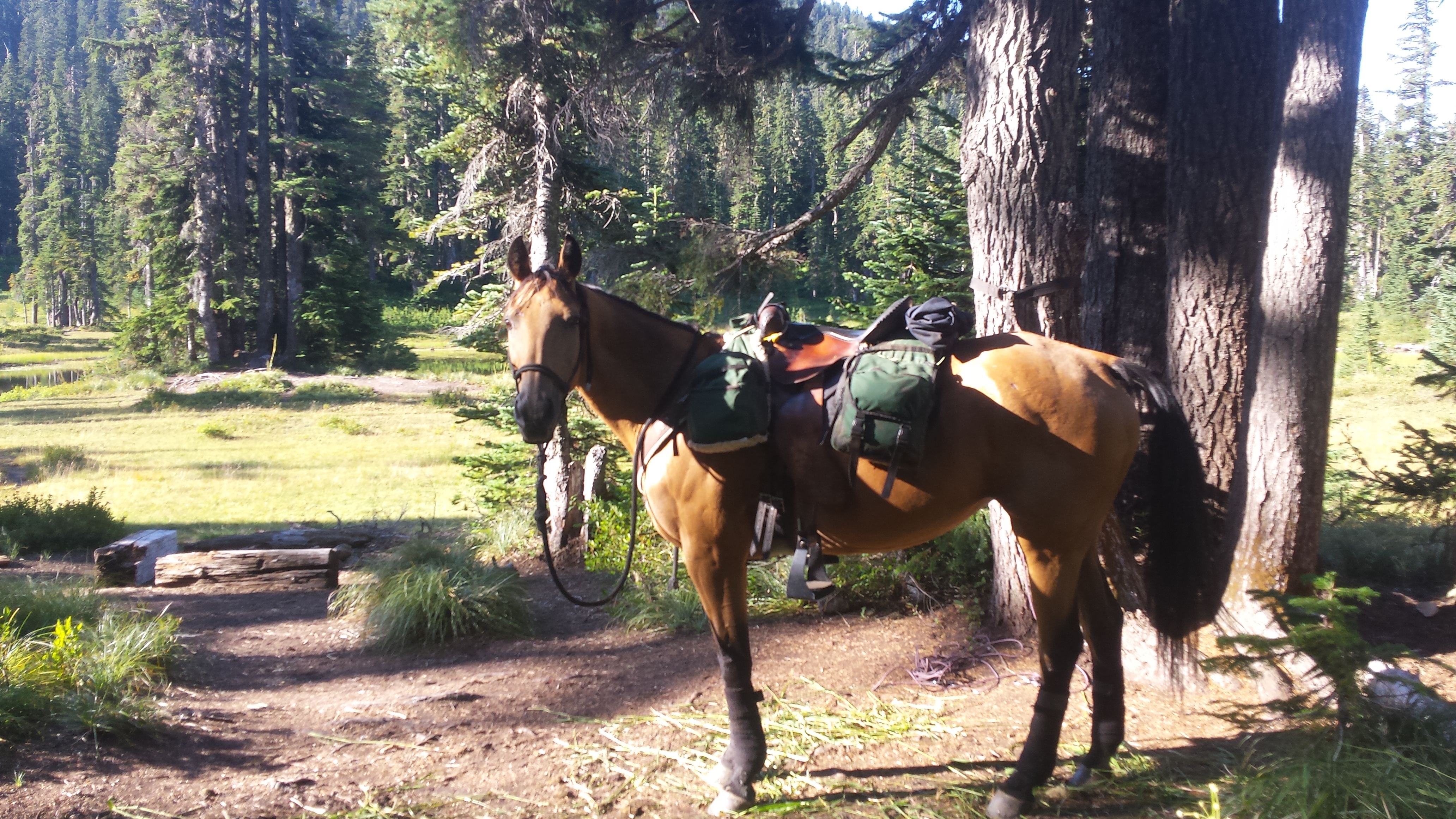 Ready to hit the trail