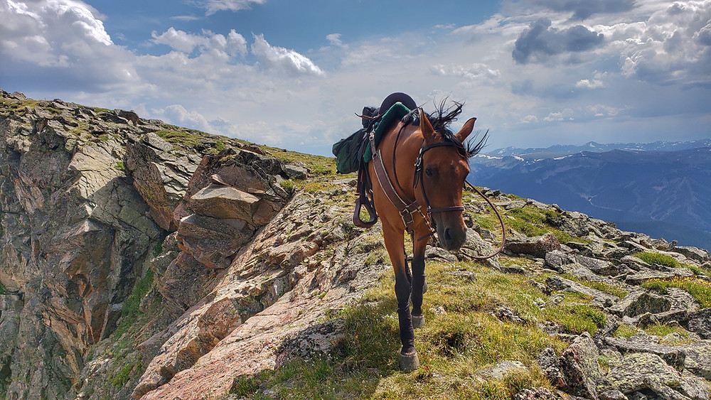navigating along a ridge