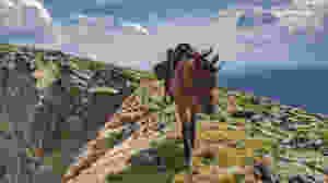 navigating along a ridge