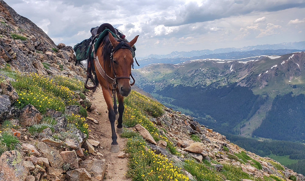 Takoda on the way to Berthoud Pass