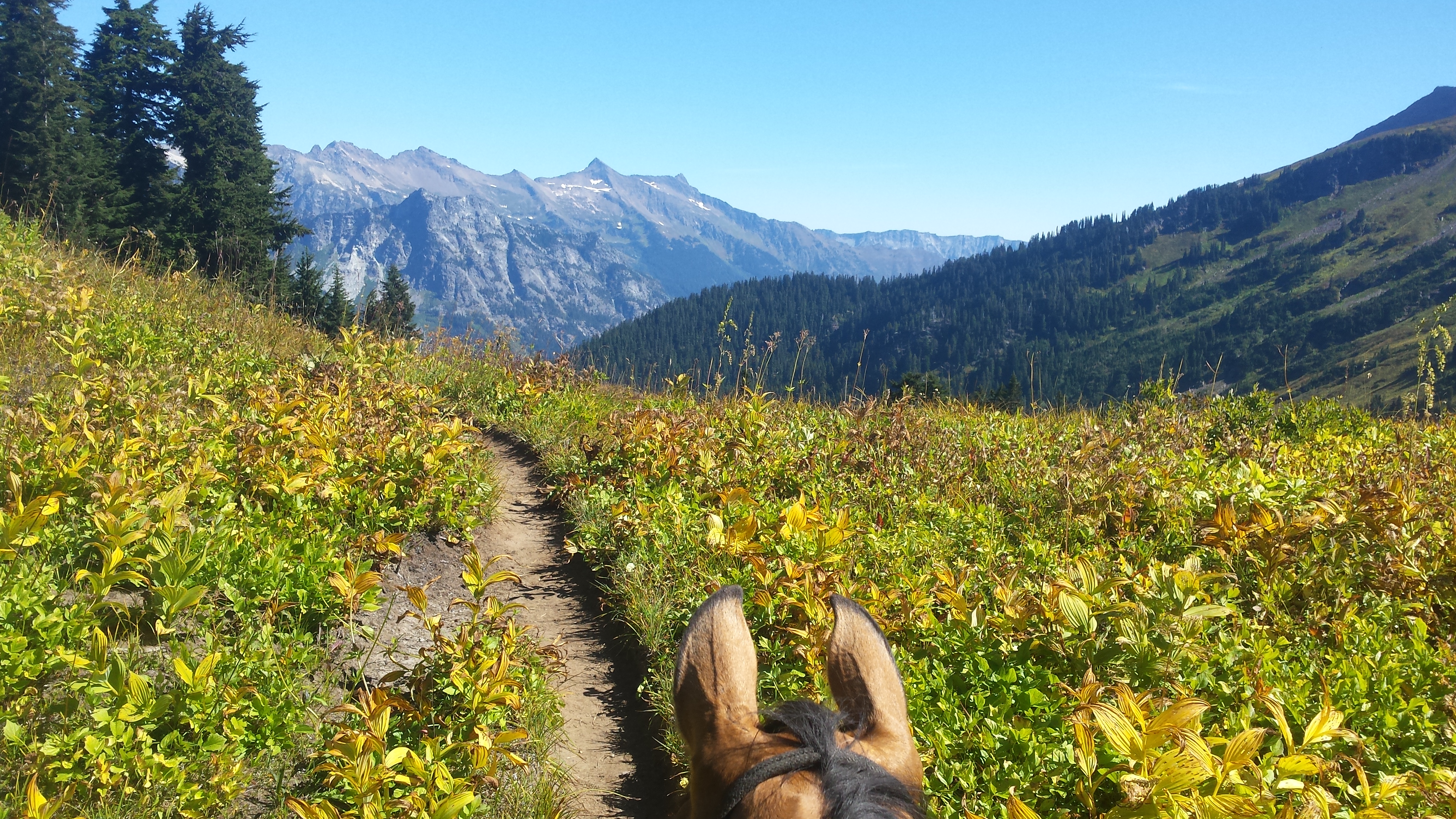 Looking north on the PCT