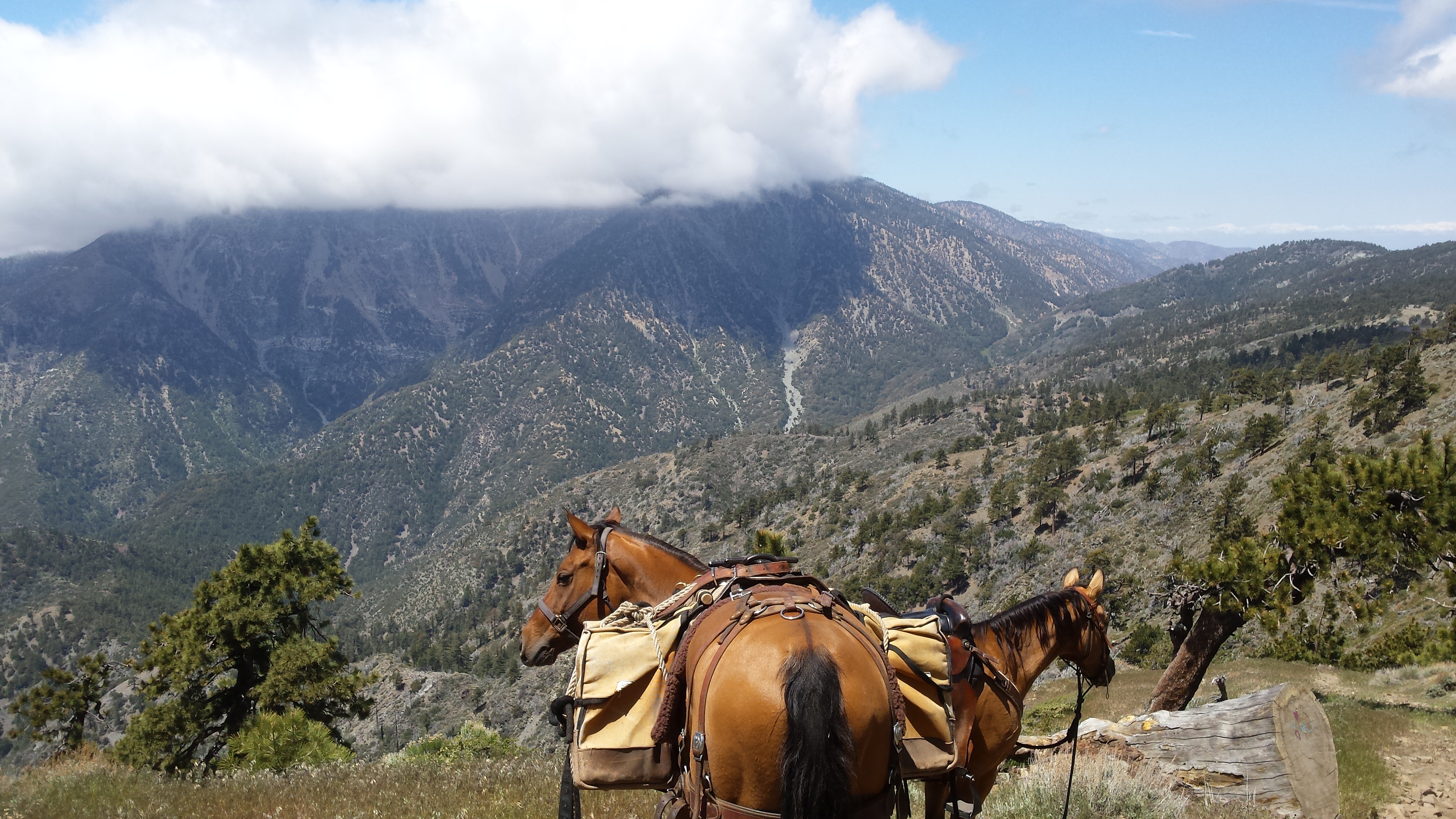 heading north from Cajon Pass