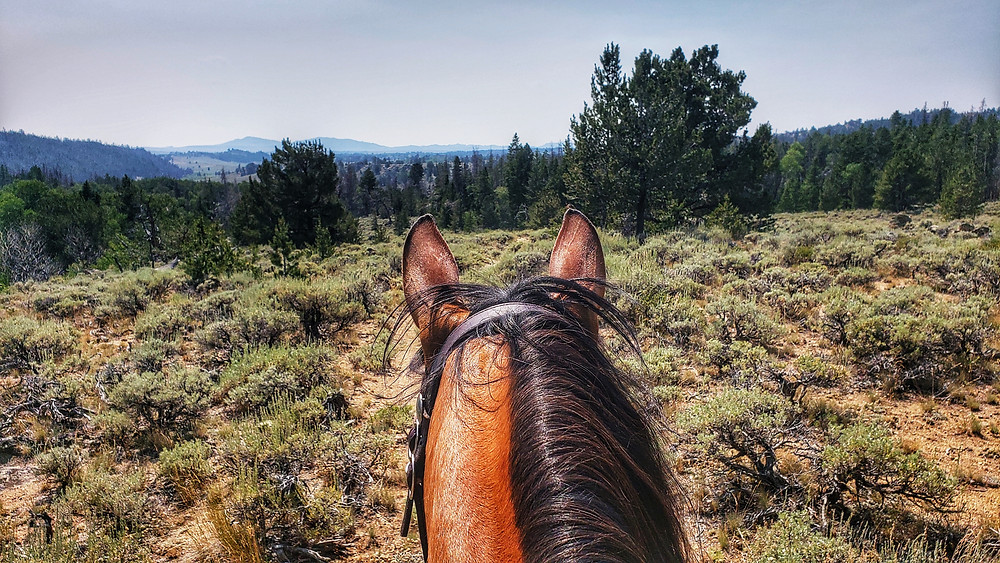 Climbing toward Sweetwater Guard Station