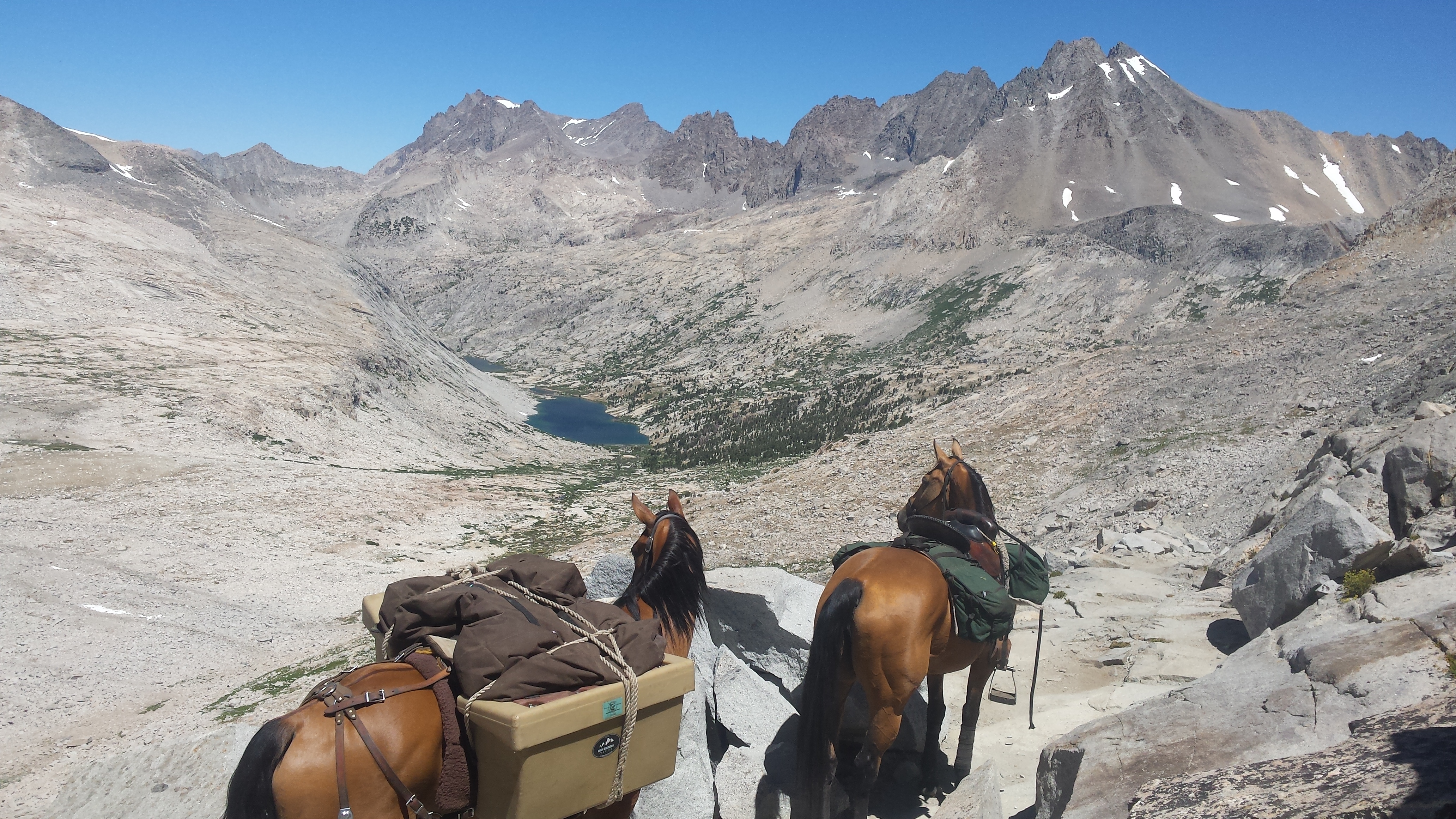 Shyla and Takoda in the Sierra