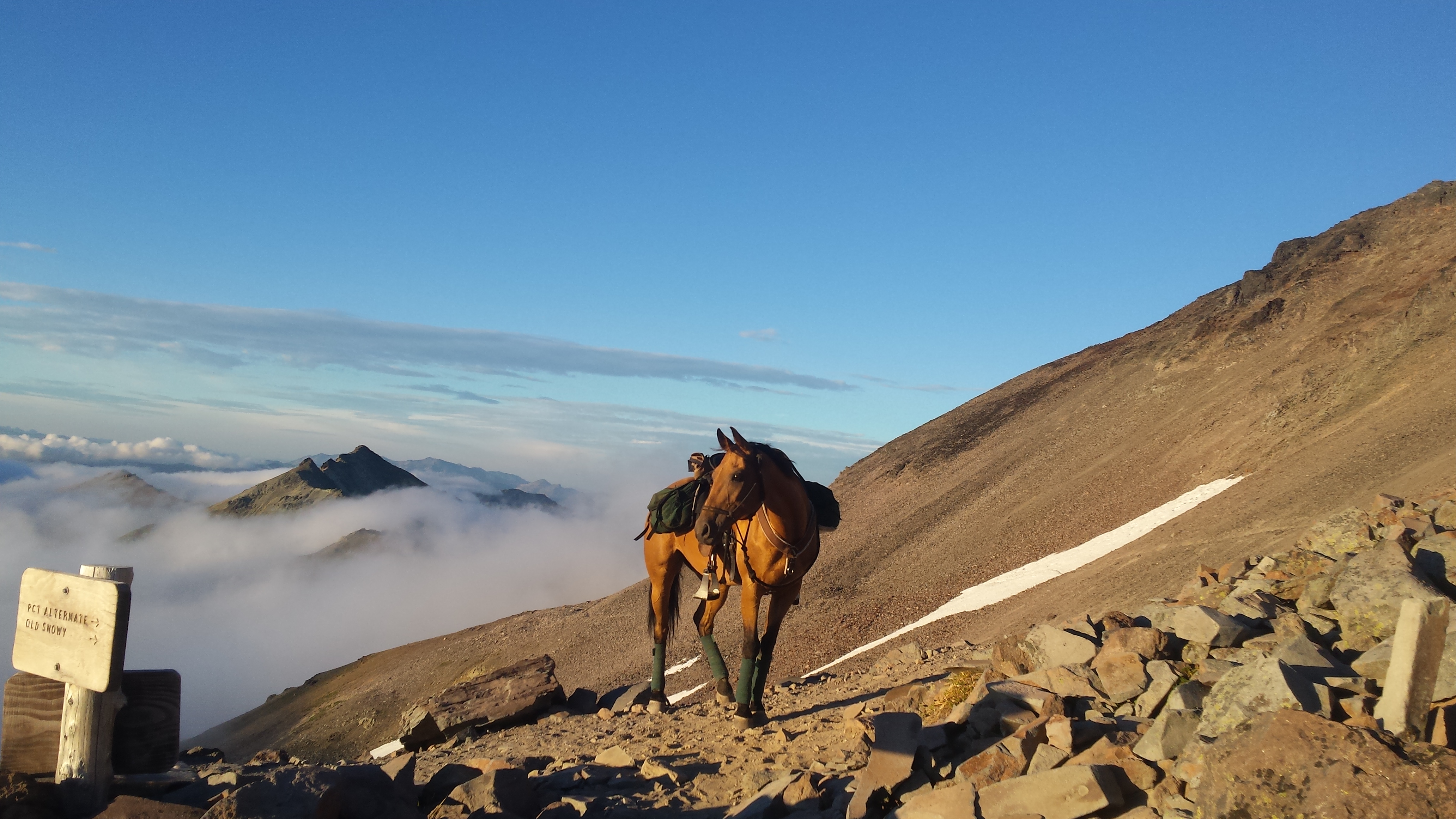 Shyla at the top of the world