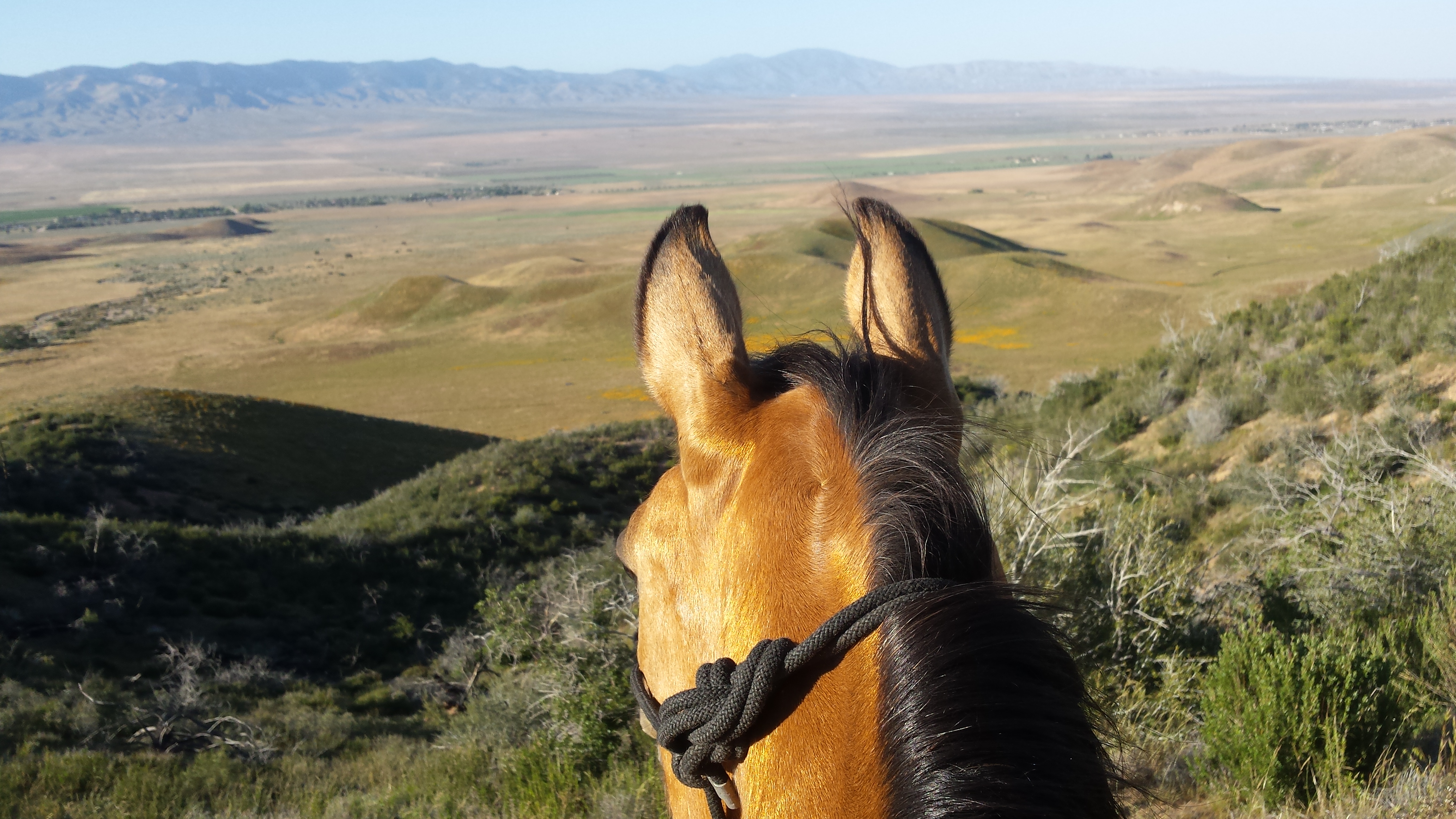 above the Mojave