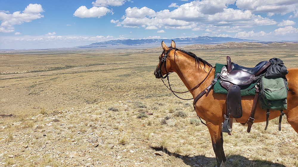 Wyoming's Great Divide Basin