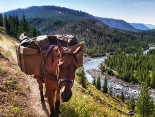 Packing Yellowstone