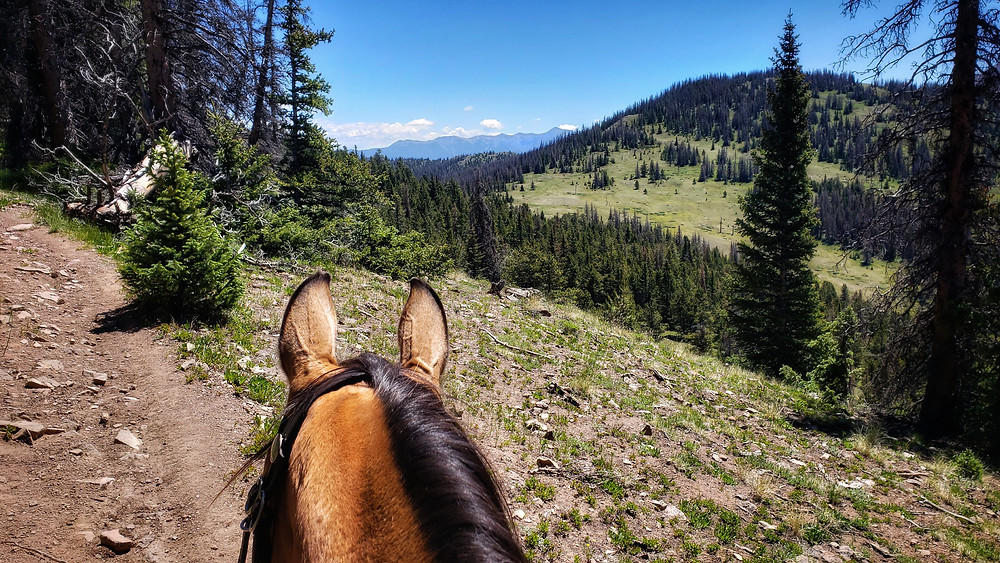 riding out of Marshall Pass area