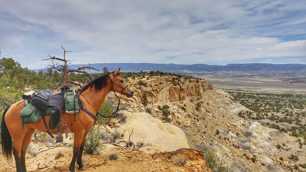 At the edge of the mesa