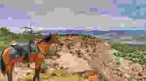 At the edge of the mesa