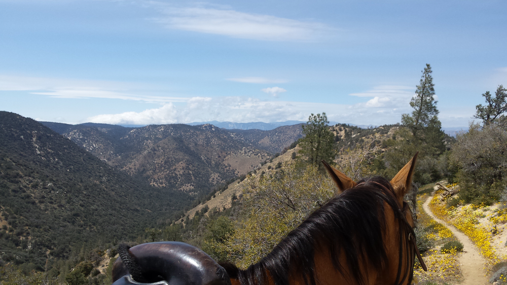 Bird Spring Pass to Walker Pass Gillian Larson