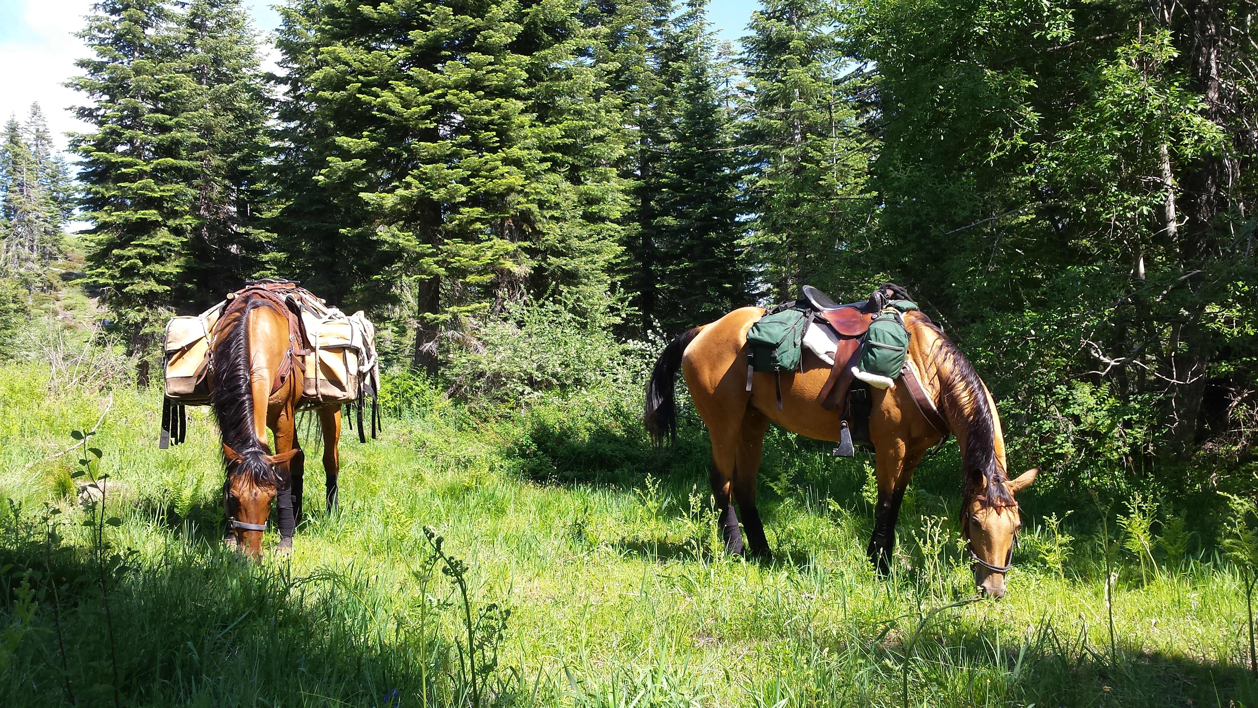 a meadow snack