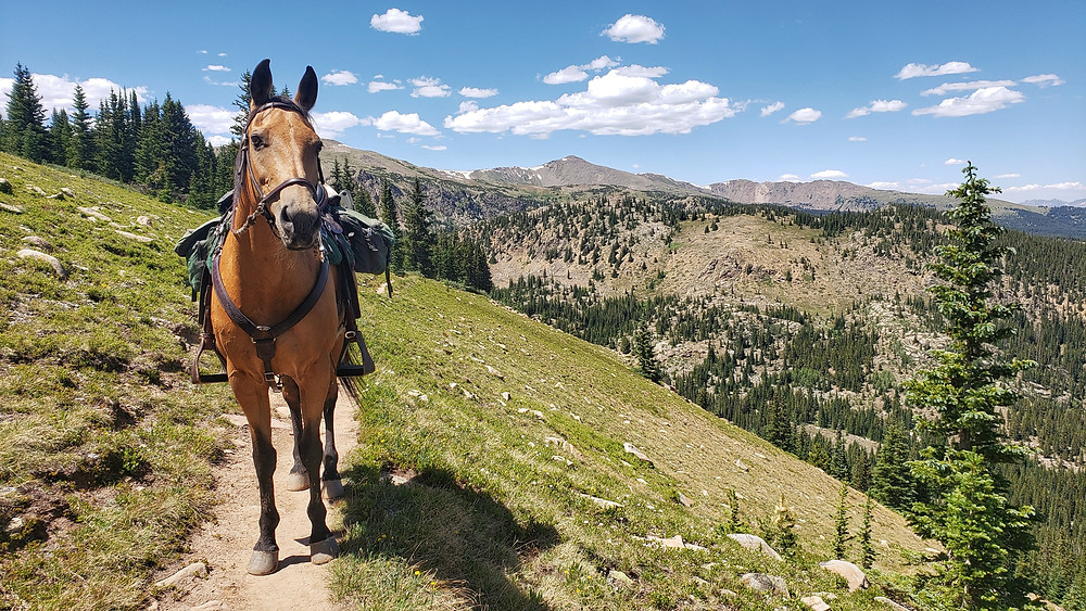 riding south to Mt. Massive trailhead