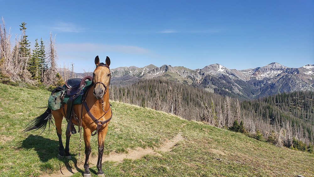 Shyla riding out of Wolf Creek Pass