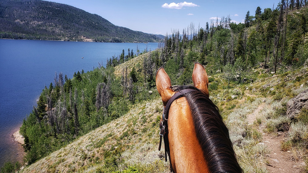Along the shore of Granby Lake