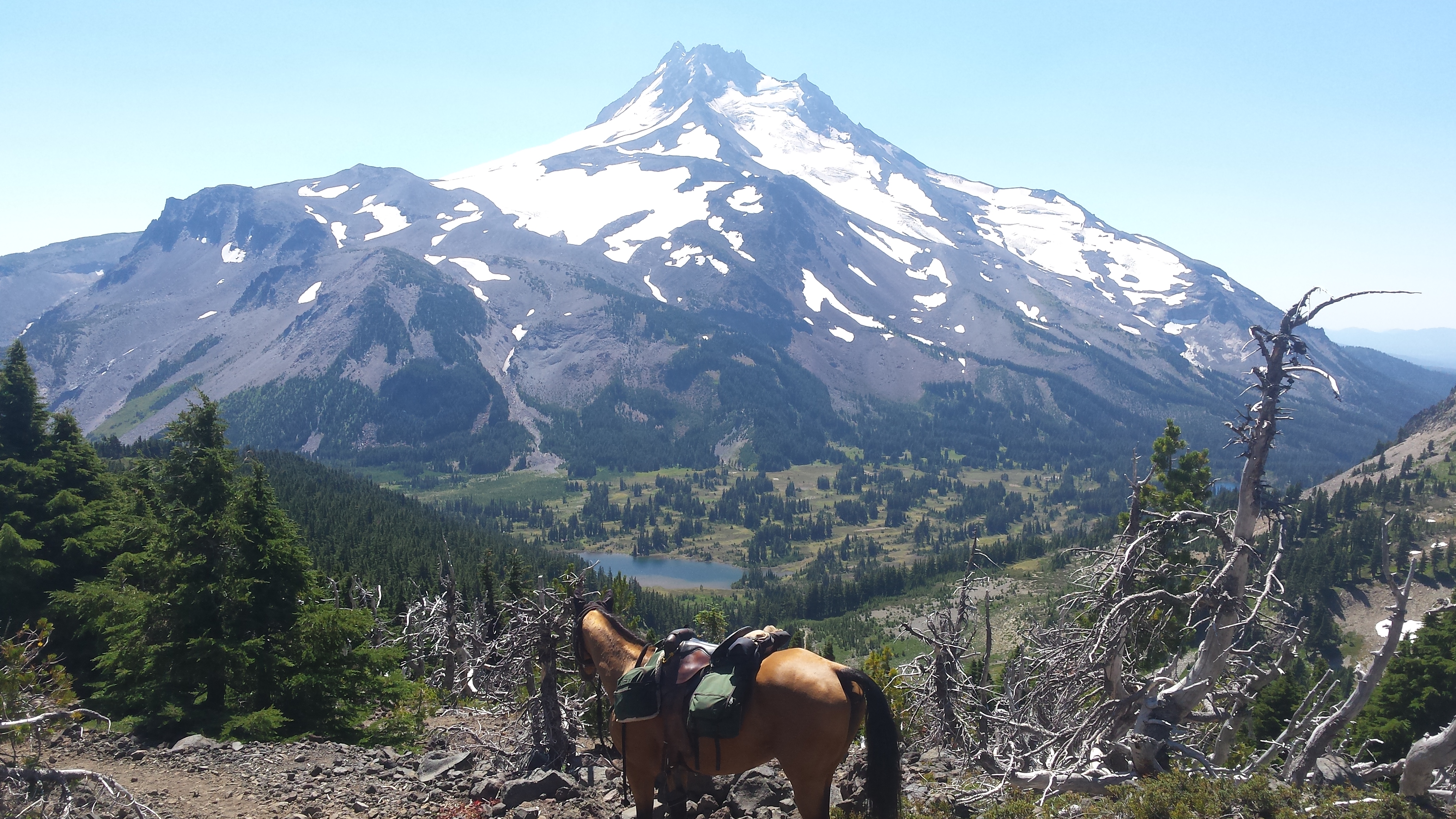 Shyla near Mt. Jefferson