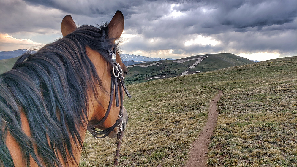 Takoda riding south from Wheeler Junction